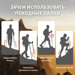 Bâtons de randonnée en carbone NATUREHIKE : légers et durables